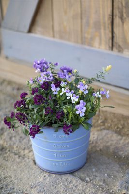 写真 2026-01-17 16 21 19_R_1