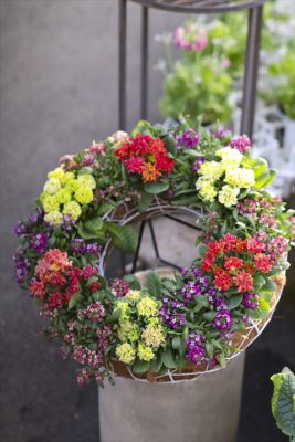 写真 2026-01-18 16 22 12_R_1