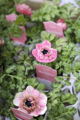 写真 2026-01-10 16 30 27_R_1