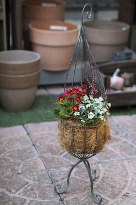 写真 2026-01-28 16 55 11_R_1