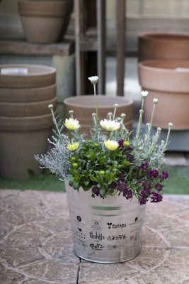 写真 2026-01-24 16 33 27_R_1