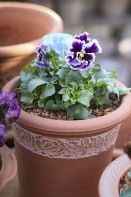 写真 2026-01-22 16 00 45_R_1