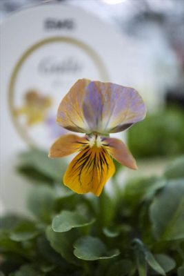 写真 2026-01-07 17 02 33_R_1