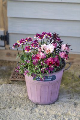 写真 2026-01-17 16 21 38_R_1