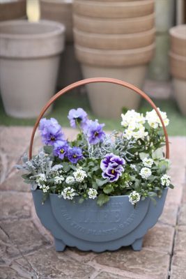 写真 2026-01-27 15 07 42_R_1