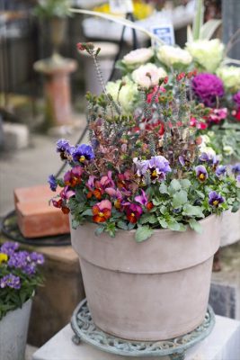 写真 2026-01-19 16 24 23_R_1