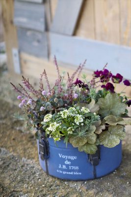 写真 2026-01-06 16 45 12_R_1