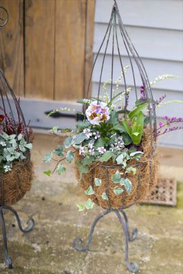 写真 2026-01-29 16 25 48_R_1