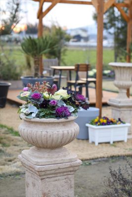 写真 2026-01-04 17 00 12_R_1