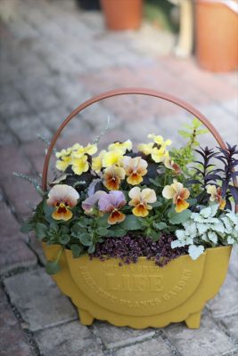 写真 2026-01-22 16 03 28_R_1