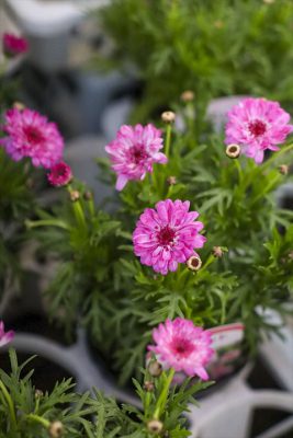 写真 2026-01-28 16 49 33_R_1