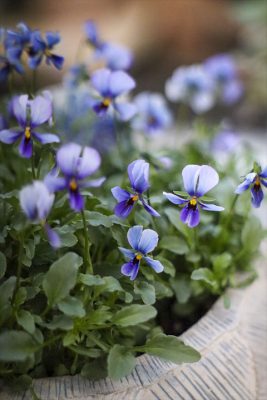 写真 2026-01-09 16 57 02_R_1