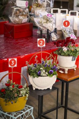 写真 2026-01-10 16 26 10_R_1