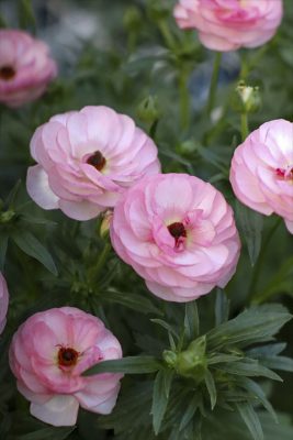 写真 2026-01-07 16 54 18_R_1