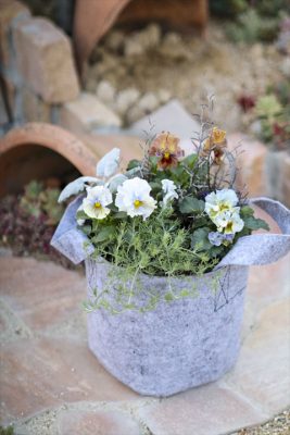 写真 2026-01-04 16 51 08_R_1