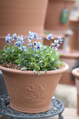 写真 2025-12-31 9 14 29_R_1