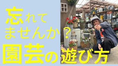 園芸の楽しみ方