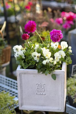 写真 2026-01-03 16 00 24_R_1