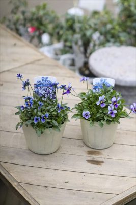 写真 2026-01-19 16 22 04_R_1