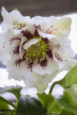 写真 2026-01-12 14 36 46_R_1