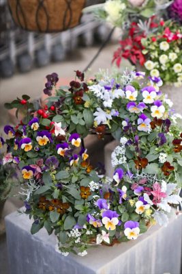 写真 2025-12-29 16 36 17_R_1