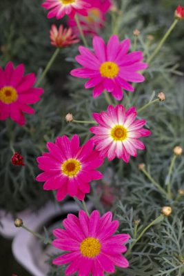 写真 2026-01-08 16 33 22_R_1