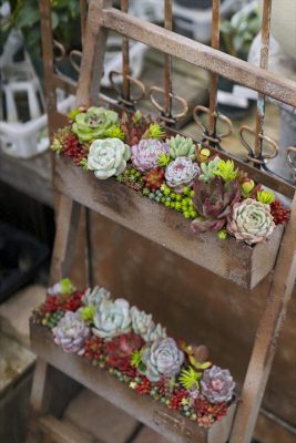 写真 2026-01-29 16 33 04_R_1