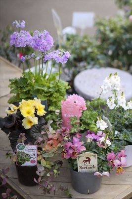 写真 2026-01-19 15 21 58_R_1