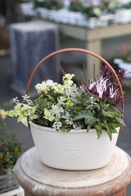 写真 2026-01-06 17 01 33_R_1