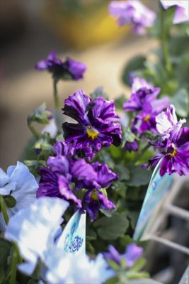 写真 2026-01-22 15 31 55_R_1