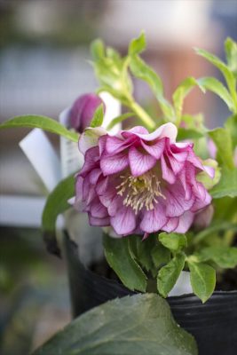 写真 2026-01-08 16 24 32_R_1