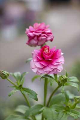 写真 2026-01-12 11 44 33_R_1