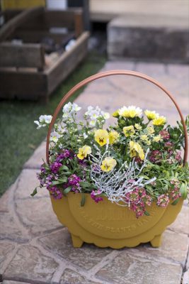 写真 2026-01-27 15 06 35_R_1