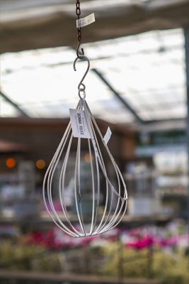 写真 2026-01-30 16 33 56_R_1