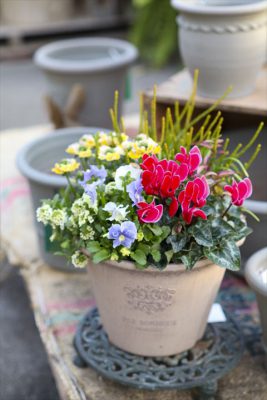 写真 2026-01-03 15 59 27_R_1