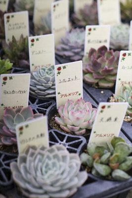 写真 2026-01-29 16 31 25_R_1