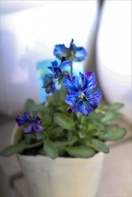 写真 2026-01-22 15 33 07_R_1