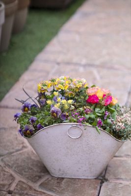 写真 2026-01-25 15 51 08_R_1