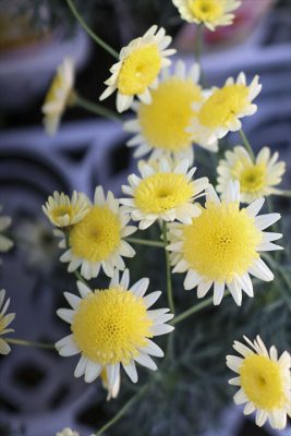 写真 2026-01-17 16 17 41_R_1