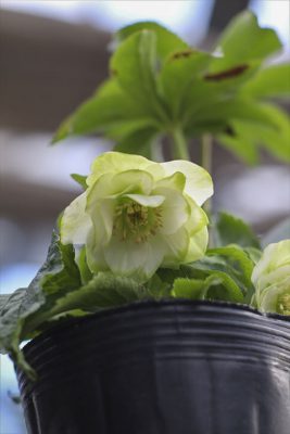 写真 2026-01-22 15 20 33_R_1