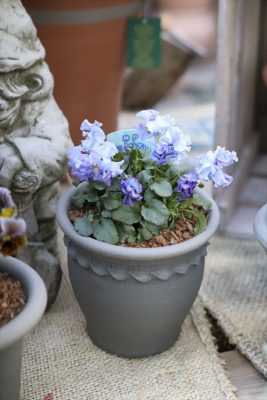 写真 2026-01-22 16 01 56_R_1