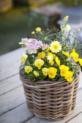 写真 2026-01-18 16 36 29_R_1