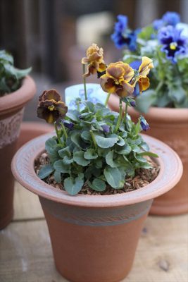 写真 2026-01-22 16 00 28_R_1