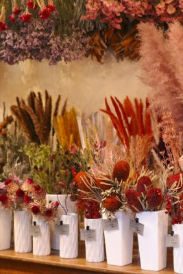 写真 2026-01-04 16 57 29_R_1