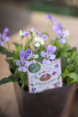 写真 2026-01-17 11 25 00_R_1