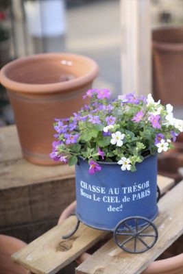 写真 2026-01-17 16 12 39_R_1