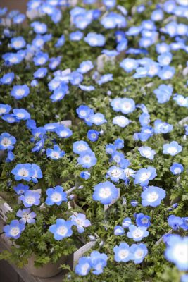 写真 2026-01-29 16 17 52_R_1