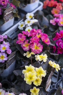 写真 2026-01-08 16 23 52_R_1