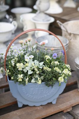 写真 2026-01-17 16 42 19_R_1