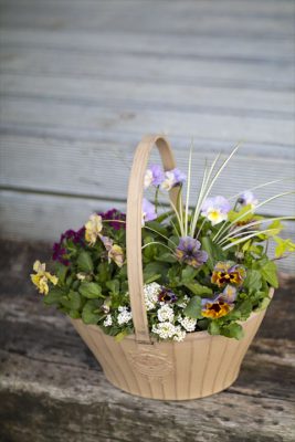 写真 2026-01-04 16 50 09_R_1